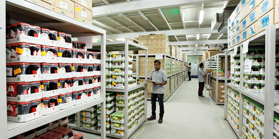 Friendly Food Qatar warehouse